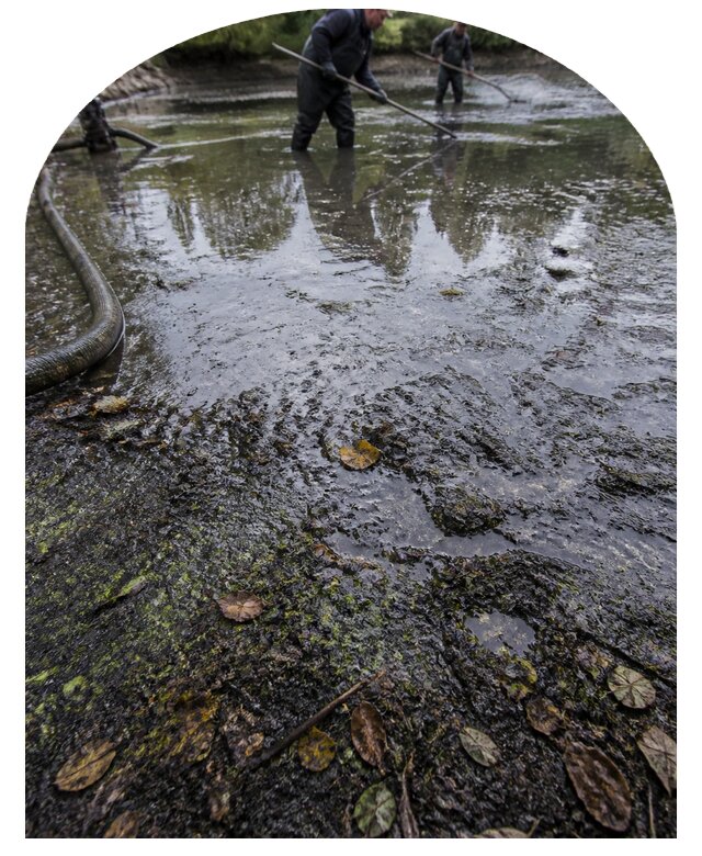 Очистка пруда в Березниках от ила мусора и водорослей с вывозом